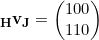 \begin{equation*}\mathbf{_H}\mathbf{v_J}=\begin{pmatrix}100\\110\end{pmatrix}\end{equation}